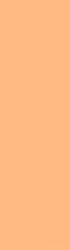 204 - Full C T Orange (Metre)