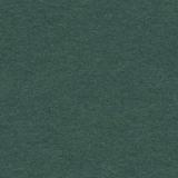 9ft - Spruce Green (37C) / Jade (137BD) - 2.72 x 11 mètres