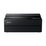 Epson Printer P700